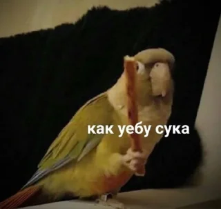 Sticker from Вахуе