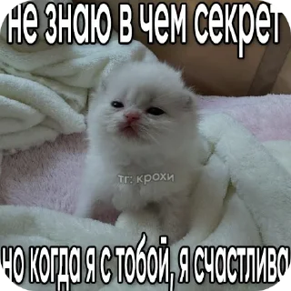 🐱 emoji Стикеры от Криса :3 Telegram sticker 24 of 119