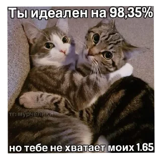 🐱 emoji Стикеры от Криса :3 Telegram sticker 14 of 119