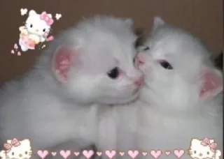 👩‍❤️‍💋‍👨 emoji мы Telegram sticker 22 of 49