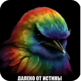 Sticker from @kokosicLox в закрепе больше с