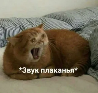 Sticker from Прикол 2.0