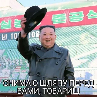 Sticker from КНДР ДЛЯ ВП