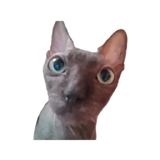 👹 emoji Всеми любимый Саймон Telegram sticker 10 of 18