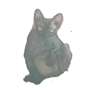 🌟 emoji Всеми любимый Саймон Telegram sticker 7 of 18