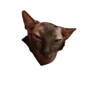 🌟 emoji Всеми любимый Саймон Telegram sticker 6 of 18