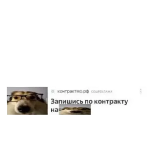 🐶 emoji САБАКА Telegram sticker 11 of 16