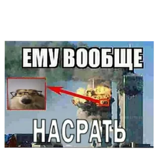 🐶 emoji САБАКА Telegram sticker 7 of 16