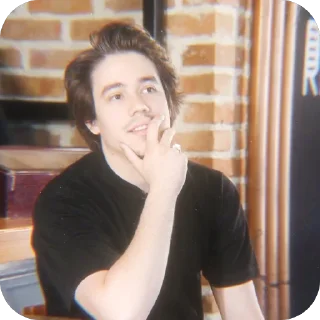 🫥 emoji Bojan. 🦫 @Stikerhi_bot Telegram sticker 17 of 26