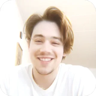 🫥 emoji Bojan. 🦫 @Stikerhi_bot Telegram sticker 1 of 26