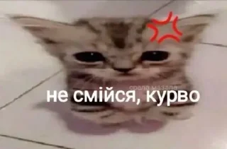 😡 emoji Підвальний Telegram sticker 12 of 37