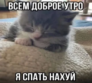 🌟 emoji на все случаи жизни Telegram sticker 16 of 76