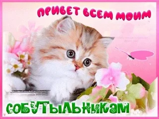 🌟 emoji на все случаи жизни Telegram sticker 23 of 76