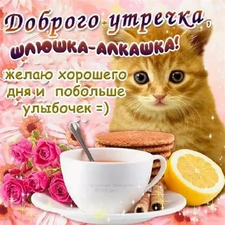🌟 emoji на все случаи жизни Telegram sticker 24 of 76