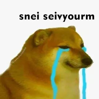 🥲 emoji @Ayshnss @BrendUserBot Paketi 1 Telegram sticker 19 of 57