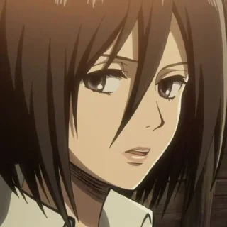 Sticker from Mikasa🥀