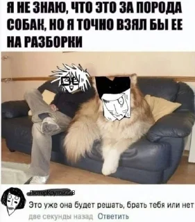 🤫 emoji лютый и его коточелы Telegram sticker 16 of 17