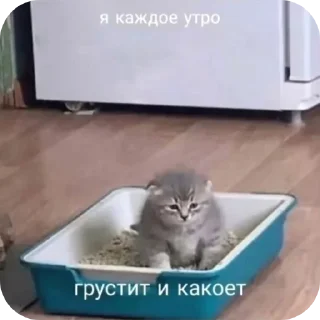 😢 emoji Просто Telegram sticker 17 of 56