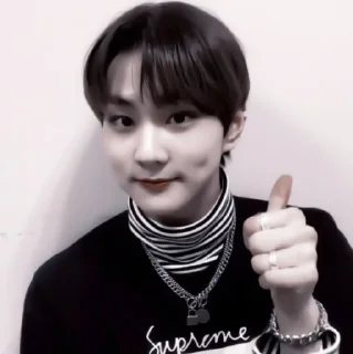 🐈 emoji Jungwon Telegram sticker 9 of 31