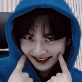 🐈 emoji Jungwon Telegram sticker 24 of 31