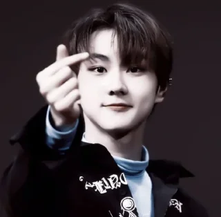 🐈 emoji Jungwon Telegram sticker 19 of 31