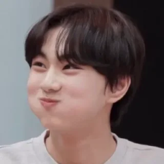 🖇 emoji Jungwon Telegram sticker 10 of 27