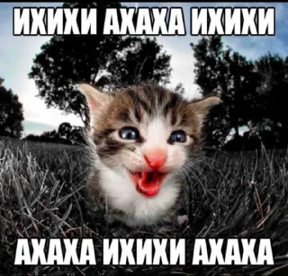 Sticker from хайп