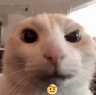 🤨 emoji хайп Telegram sticker 18 of 53