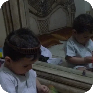 🐶 emoji baby has Telegram sticker 2 of 54