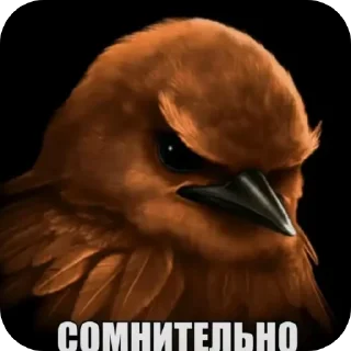 Sticker from Вряд ли