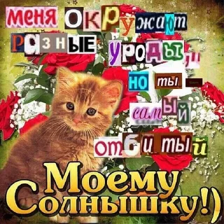 😘 emoji разрози меня гроза Telegram sticker 24 of 120