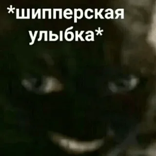 Sticker from Мемы Мемы