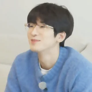 🪷 emoji ⌕ ▸ wonwoo ࣪ ‌fr.  @expressmoonst ᵎ ˖࣪ Telegram sticker 16 of 40