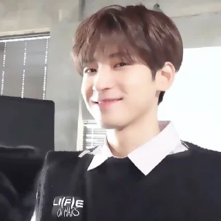 🪷 emoji ⌕ ▸ wonwoo ࣪ ‌fr.  @expressmoonst ᵎ ˖࣪ Telegram sticker 20 of 40