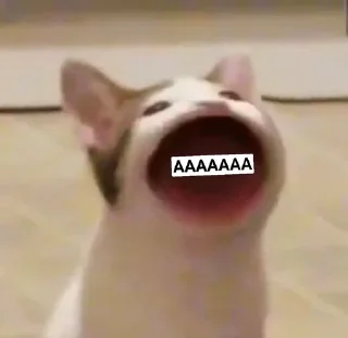 🏋️ emoji Super puper SUS Telegram sticker 16 of 30