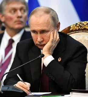 Sticker from владимир путин молодец