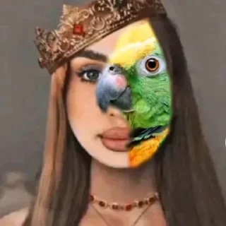 🦜 emoji Что то на королевском Telegram sticker 14 of 25