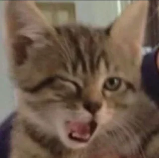 😉 emoji wwwris Telegram sticker 17 of 42