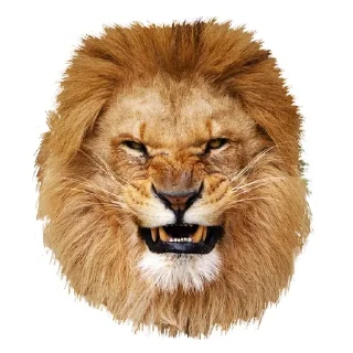 🤬 emoji Lion life Telegram sticker 13 of 27