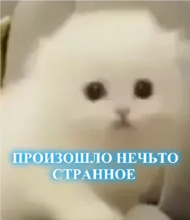 Sticker from В мИрЕ жИв0тНыХ