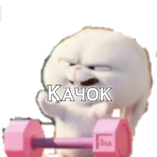 💪 emoji MEM Telegram sticker 16 of 100