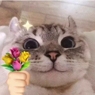 🌼 emoji i luv u Telegram sticker 13 of 36
