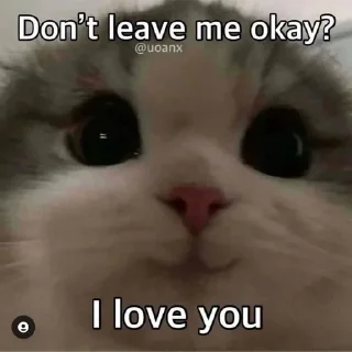 🥺 emoji i luv u Telegram sticker 19 of 36
