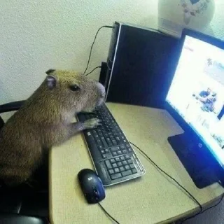 💻 emoji capybara Telegram sticker 10 of 50