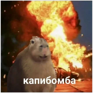 Sticker from capybara