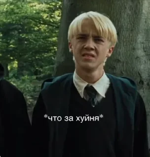 🧐 emoji Draco Malfoy bitches Telegram sticker 24 of 118