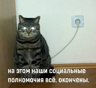 🌟 emoji Трёхэтажная_ЛЕГУЩЬКА Telegram sticker 15 of 120