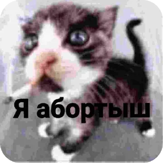 🖼 emoji Кот хуйлоп ➡️ @Ctikerubot Telegram sticker 21 of 64