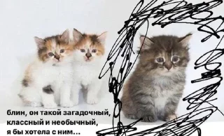 🥺 emoji 💕Стики тут: @sekstick Telegram sticker 5 of 69