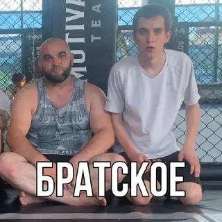 ✊ emoji МОСТ 💙 Telegram sticker 24 of 53